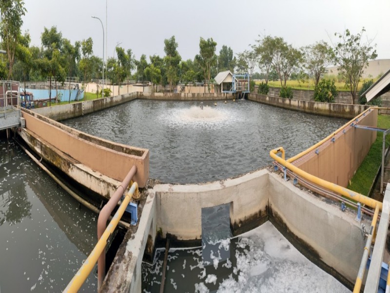 Wastewater treatment generated from aquaculture