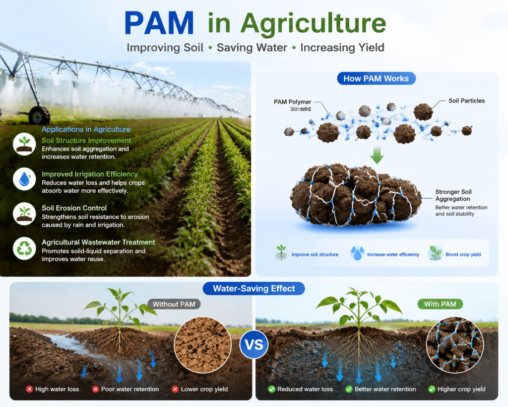 Applications of Polyacrylamide (PAM) in Agriculture